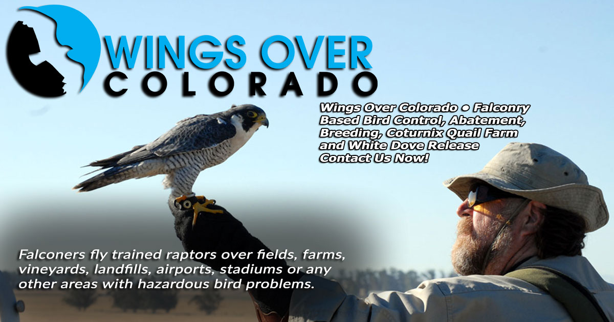 Wings Over ColoradoWings Over Colorado • Breeding Birds-of-Prey