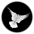 White Dove Release Colorado Icon