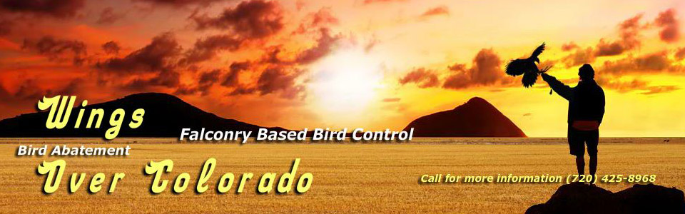 Wings Over Colorado Home Page Slider One