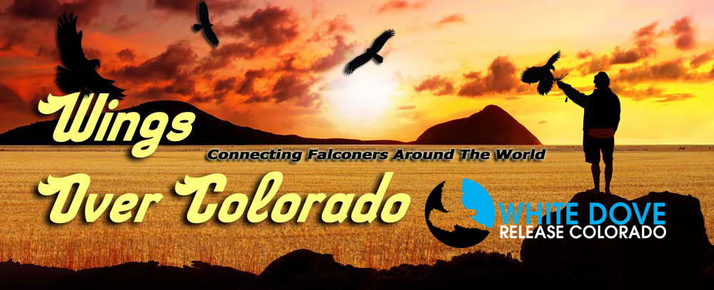 ''Wings Over Colorado'' Website Launch